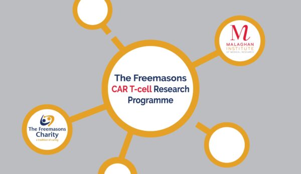 46420072_10156287903883995_8263002746580369408_o